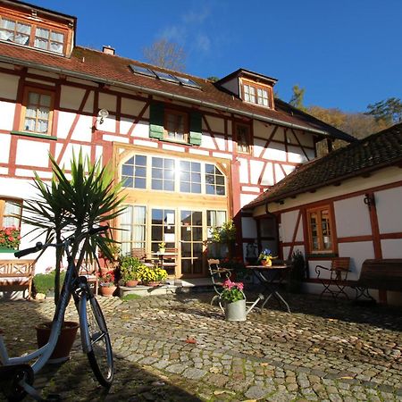 Gaestehaus Pfefferle Hotel Garni Und Ferienwohnungen Зигмаринген Экстерьер фото