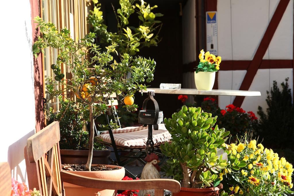 Gaestehaus Pfefferle Hotel Garni Und Ferienwohnungen Зигмаринген Экстерьер фото