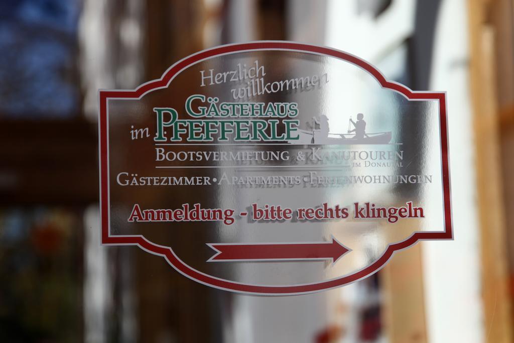 Gaestehaus Pfefferle Hotel Garni Und Ferienwohnungen Зигмаринген Экстерьер фото
